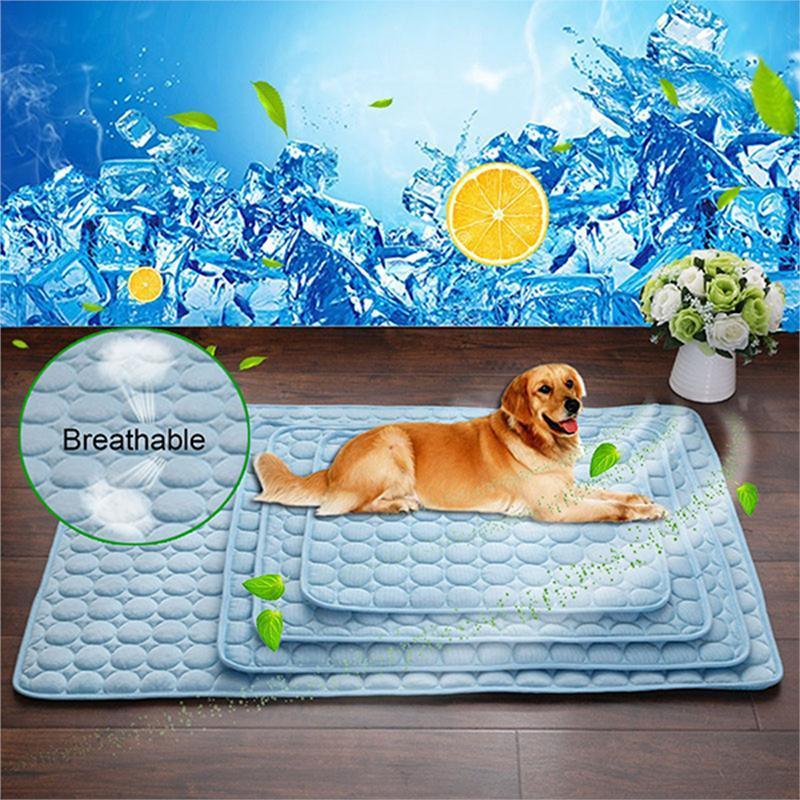 Pet Supplies